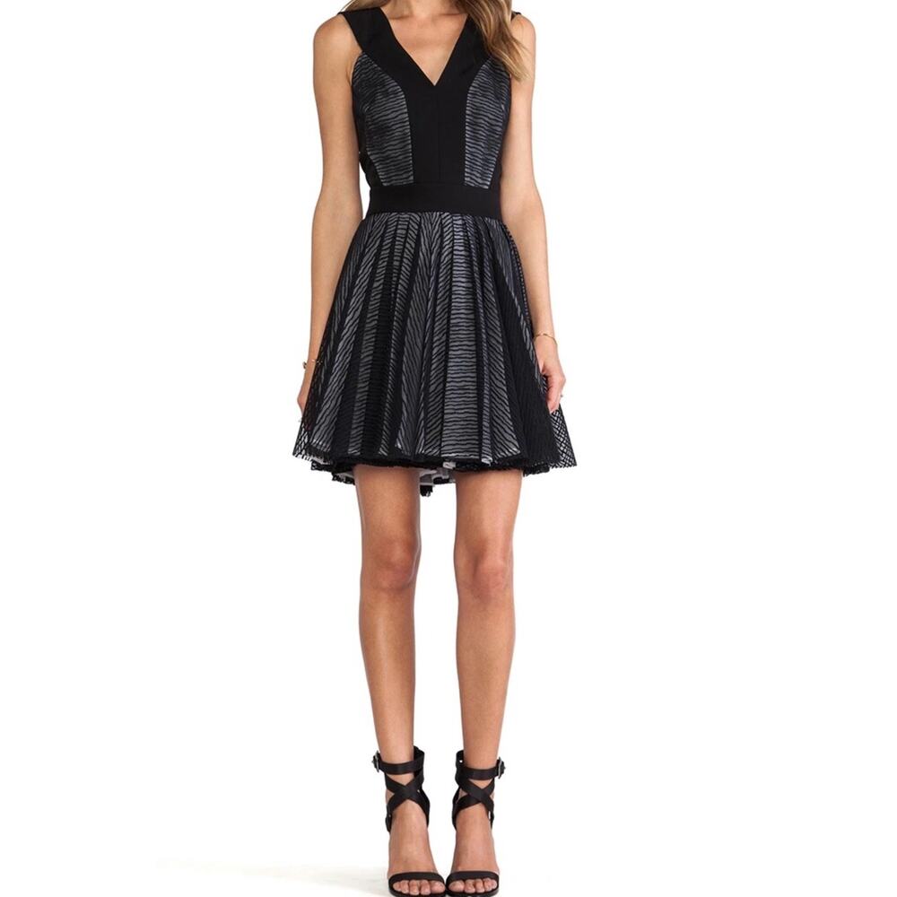 Robert Rodriguez Black Zebra Party Dress - 10 Fit & Flare Pleated Holiday $565